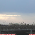 07_15-mast.jpg