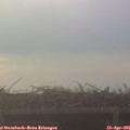 07_20-mast.jpg