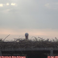 07_35-mast.jpg