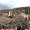 07_35-nest.jpg