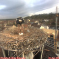 07_40-nest.jpg