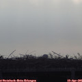 08_00-mast.jpg