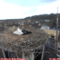 08_05-nest.jpg