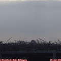 08_10-mast.jpg