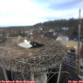 08_10-nest.jpg