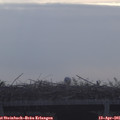 08_15-mast.jpg