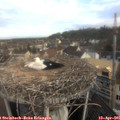 08_15-nest.jpg