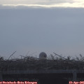 08_20-mast.jpg