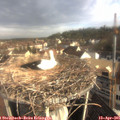 08_25-nest.jpg