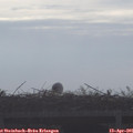 08_30-mast.jpg