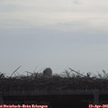 08_40-mast.jpg
