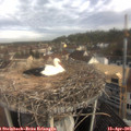 08_40-nest.jpg