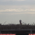 09_05-mast.jpg