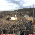 09_05-nest.jpg