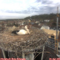 09_15-nest.jpg