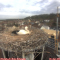 09_20-nest.jpg