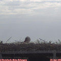 09_35-mast.jpg