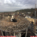 09_35-nest.jpg