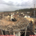 09_40-nest.jpg