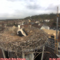09_45-nest.jpg