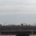 10_05-mast.jpg