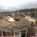 10_05-nest.jpg