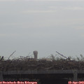 10_15-mast.jpg