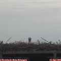 10_25-mast.jpg