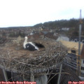 10_35-nest.jpg
