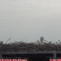 10_40-mast.jpg