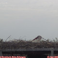 10_45-mast.jpg