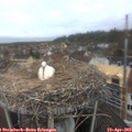 10_45-nest.jpg