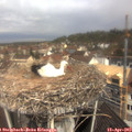11_05-nest.jpg