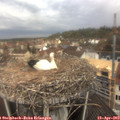 11_15-nest.jpg