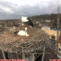 11_30-nest.jpg