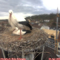 12_05-nest.jpg