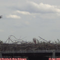 12_45-mast.jpg