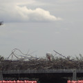 12_55-mast.jpg