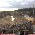 13_15-nest.jpg