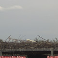 14_10-mast.jpg