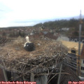 14_15-nest.jpg