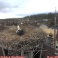 14_20-nest.jpg
