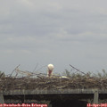 14_45-mast.jpg