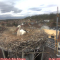 15_40-nest.jpg