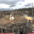 15_45-nest.jpg