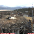 16_25-nest.jpg