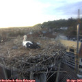 19_15-nest.jpg