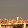 19_50-mast.jpg