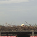 06_35-mast.jpg