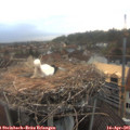 06_35-nest.jpg